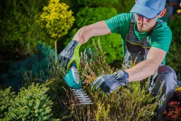 landscaping services Fincastle